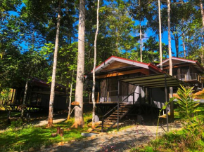 The Elements Costa Rica Nature Lodges